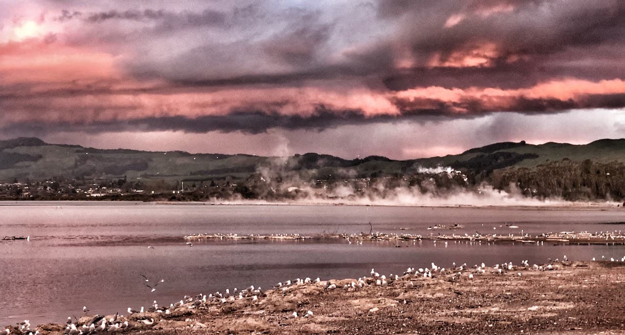 A piercingly pink sky lights the steaming seagull-covered lakes at Harrison Hot Springs