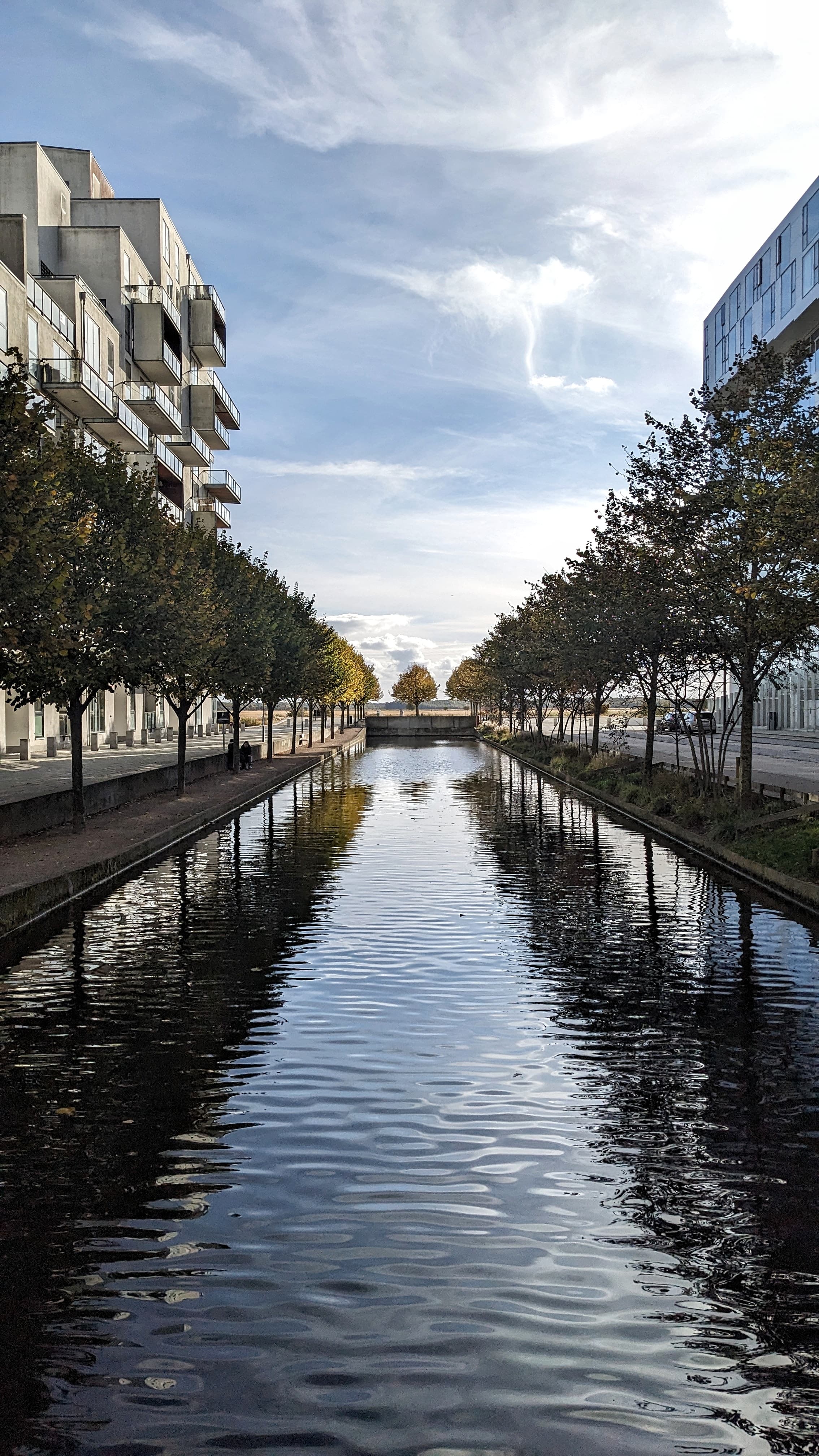 A man-made river runs through residential Zealand lined with obedient rows of trees