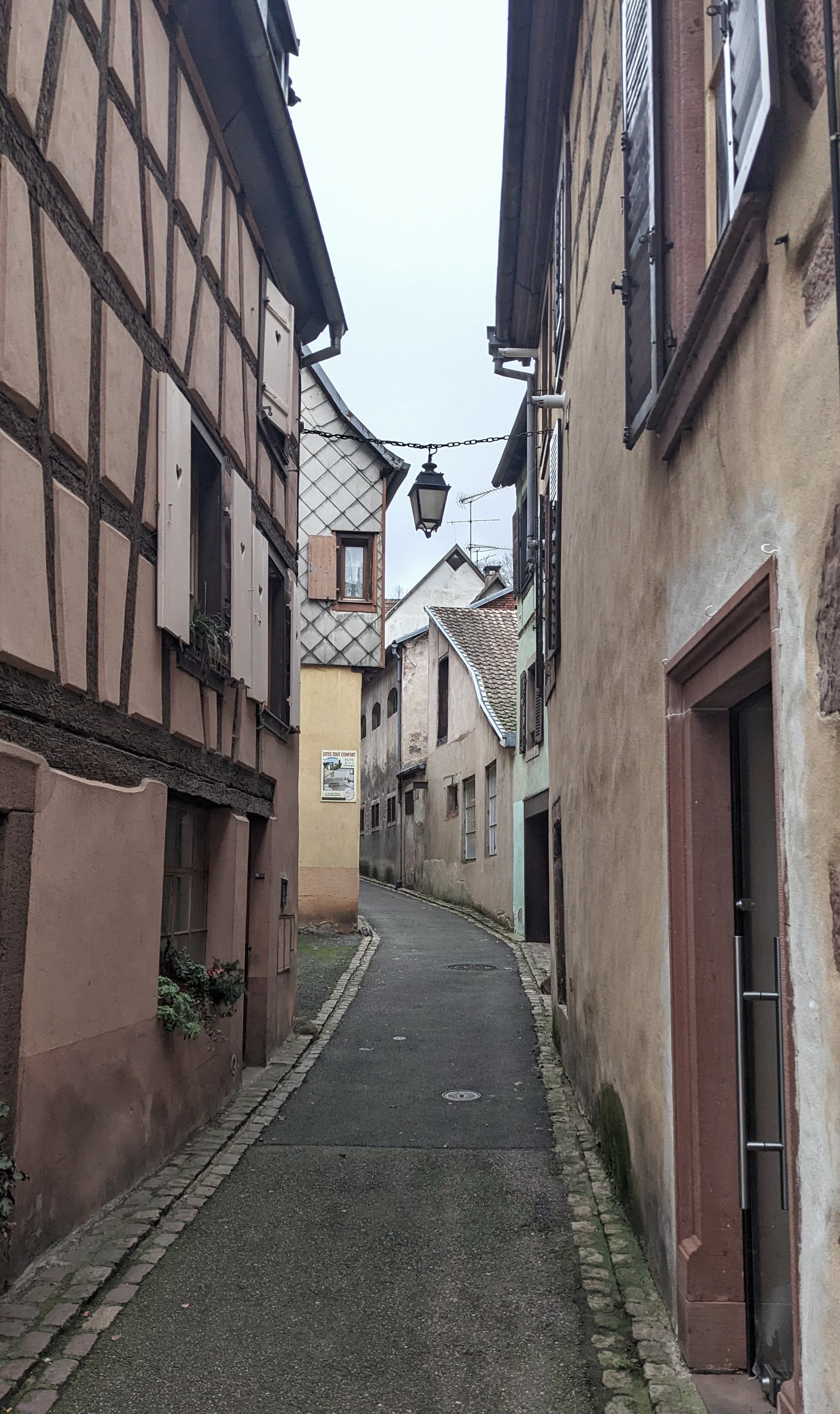A mild but posh residential alleyway in Ribeauvillé, Alsace